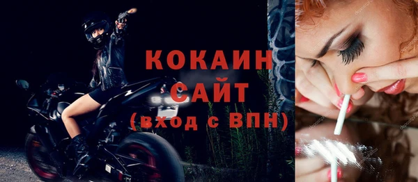 твердый Коряжма