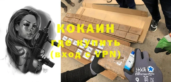 твердый Коряжма