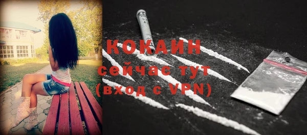 твердый Коряжма