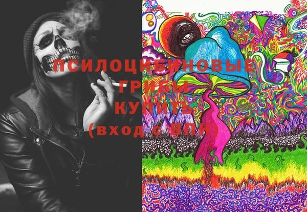 твердый Коряжма